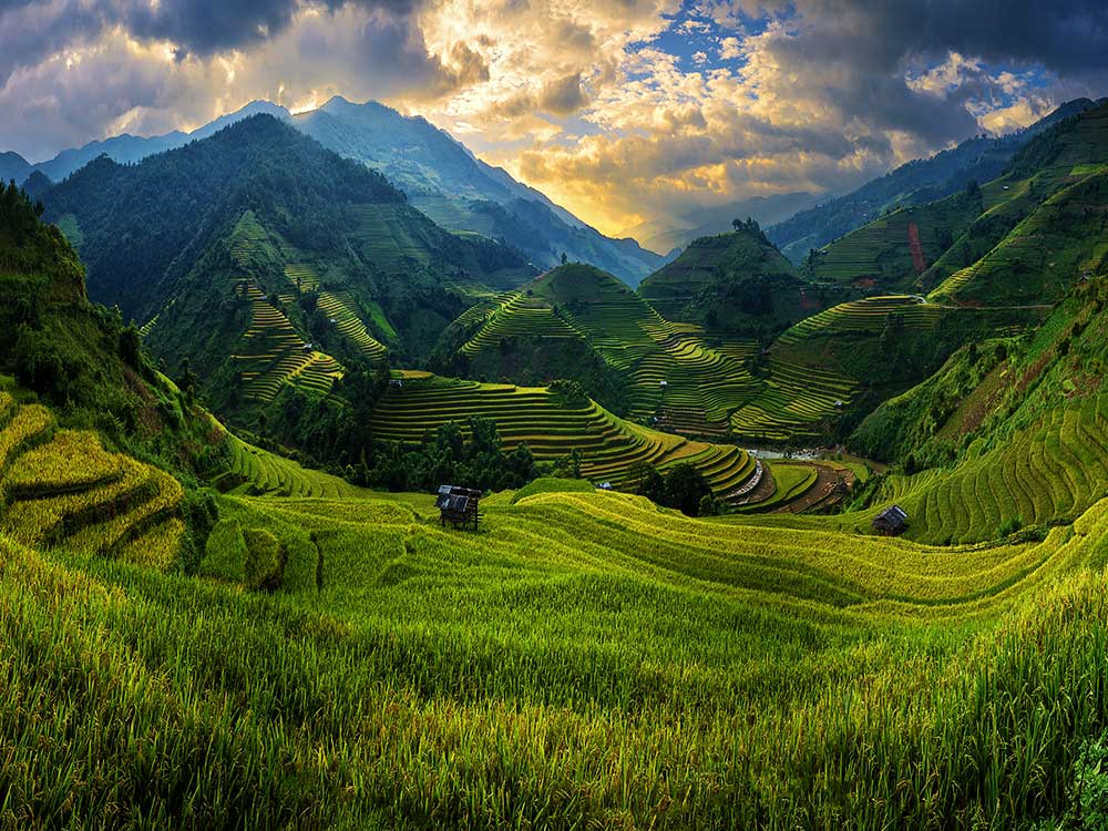 Beauty of Vietnam